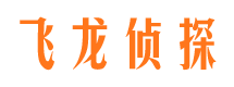 蔡甸专业找人